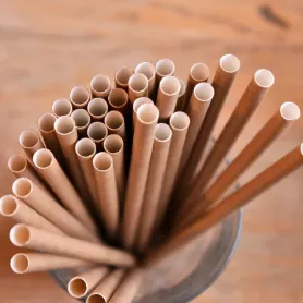 Paille en carton