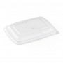 Barquette bio bagasse usage chaud froid vente a emporter