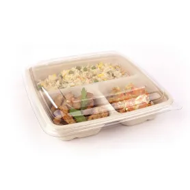 Barquette bagasse compartimentée