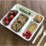 Plateau repas bagasse 5 compartiments + couvercle