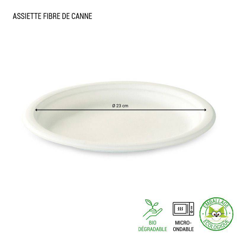 GoBeTree 50 Assiettes Jetables Rondes 15 cm en Canne à Sucre Blanche - En 2  Packs de 25 Assiettes en Papier Jetables Extra Durables, Pour Camping,  Pique-niques, Fêtes, Barbecues, Anniversaires : : Sports et Loisirs