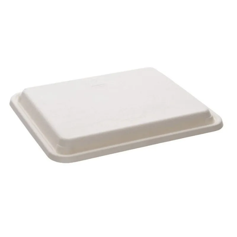 Plateau repas bagasse 5 compartiments + couvercle