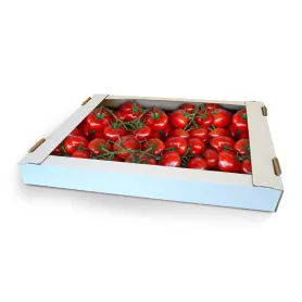 Caisse blanche de transport  pour traiteur