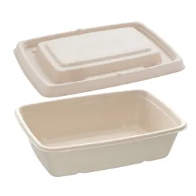 Barquette bagasse rectangulaire