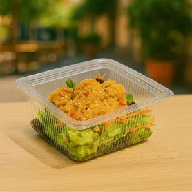 Boîte à couvercle charnière rentrant - froid