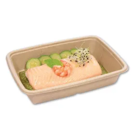Barquette bagasse rectangulaire