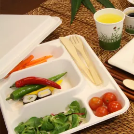 Plateau repas bagasse 5 compartiments + couvercle