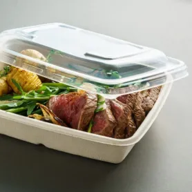 Barquette bagasse rectangulaire