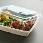 Barquette bagasse rectangulaire-3988
