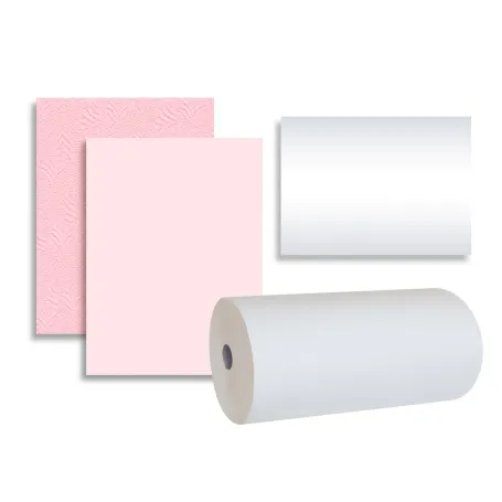 Papier thermosoudable - Résiste aux aliments gras et humides - Apte au contact direct des aliments