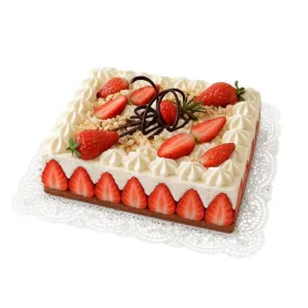 Dentelle rectangle standard