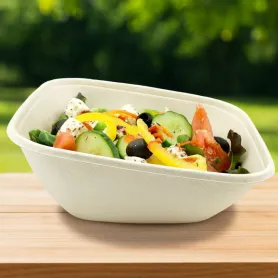 Saladier bagasse carré biseauté