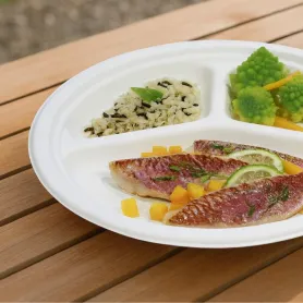 Assiettes compartimentées en fibre de canne