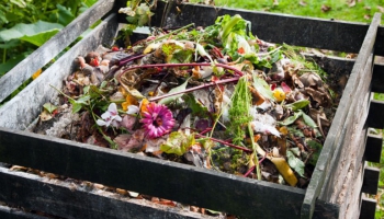 Peut-on composter ses emballages alimentaires ?